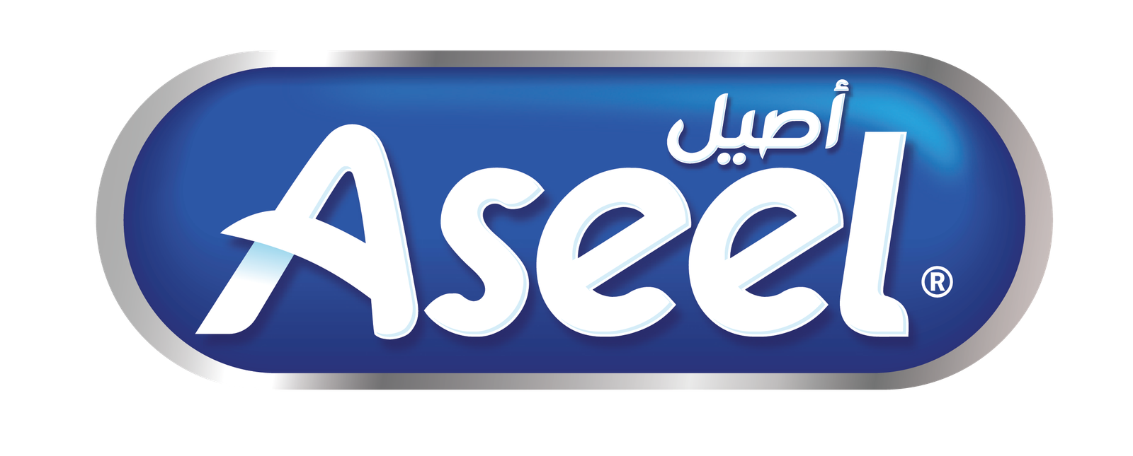 logo assel-01